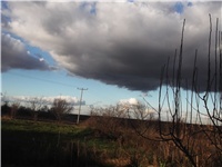 ce8829d7-Picture 002.jpg